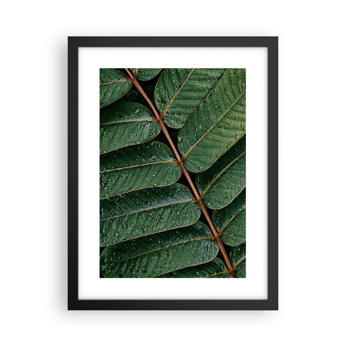 Affiche dans un cadre noir - Poster - Au rythme de la verdure - 30x40 cm