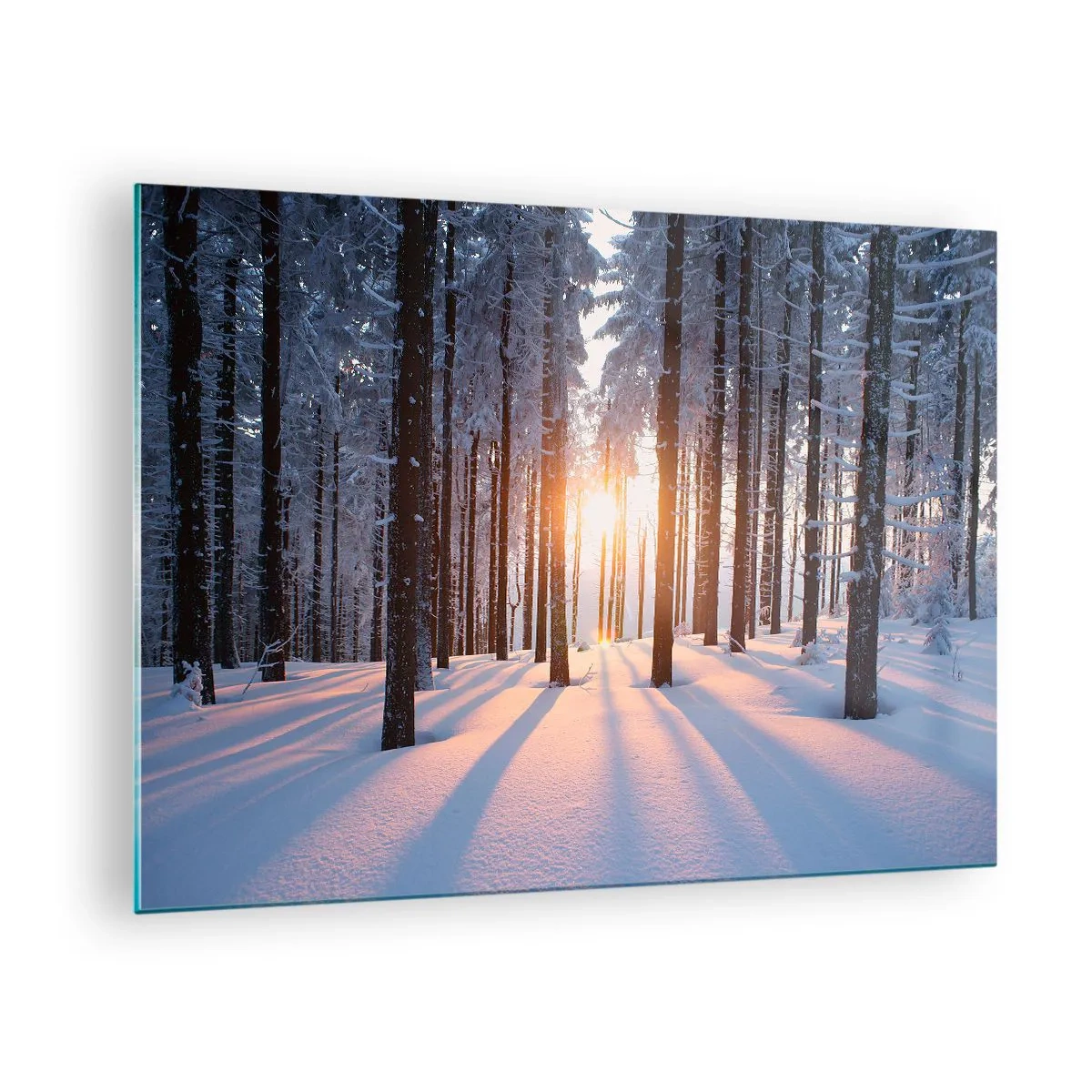 Impression sur verre - Image sur verre - Forêt d'hiver avec les rayons du soleil qui brillent à travers les arbres - 70x50cm - Clairement en noir et blanc - Décoration murale moderne pour le salon et la chambre ARTTOR
