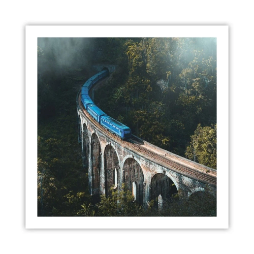Affiche - Poster - Train nature - 60x60 cm