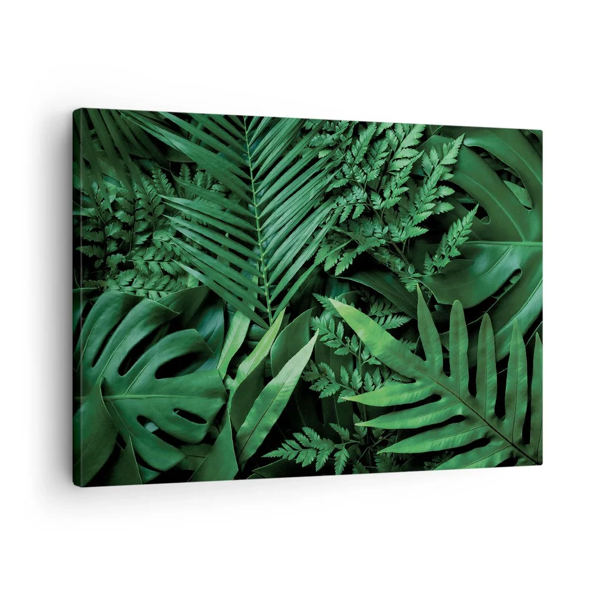 Impression sur toile - Image sur toile - Feuilles tropicales vertes dans une composition dense et naturelle - 70x50cm - Emmitouflé de verdure - Décoration murale moderne pour le salon et la chambre ARTTOR