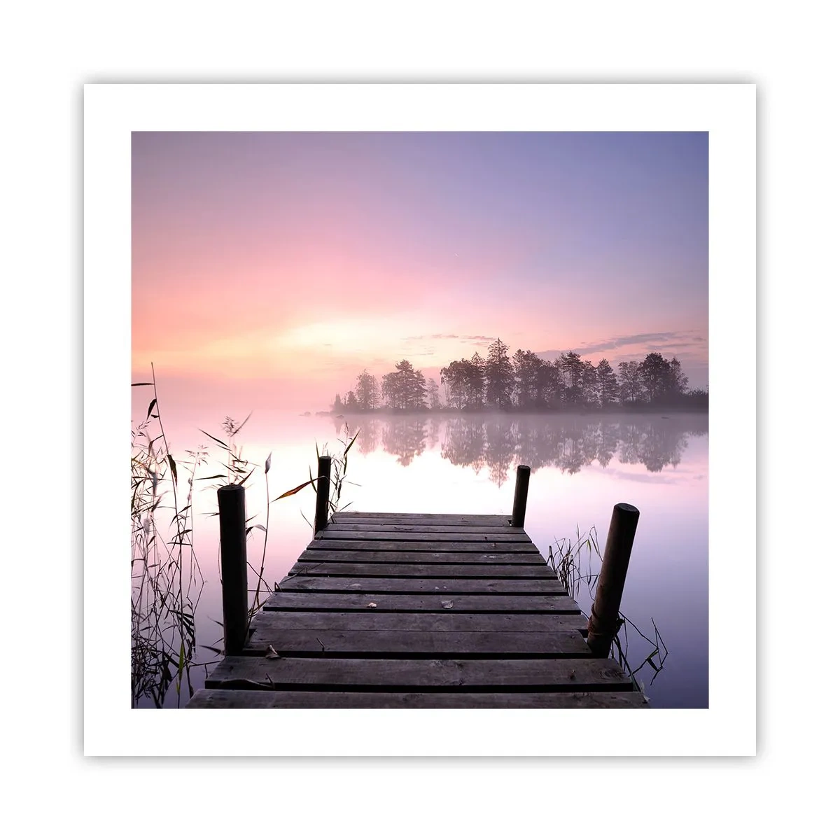 Affiche - Poster - De la brume lilas… - 50x50 cm