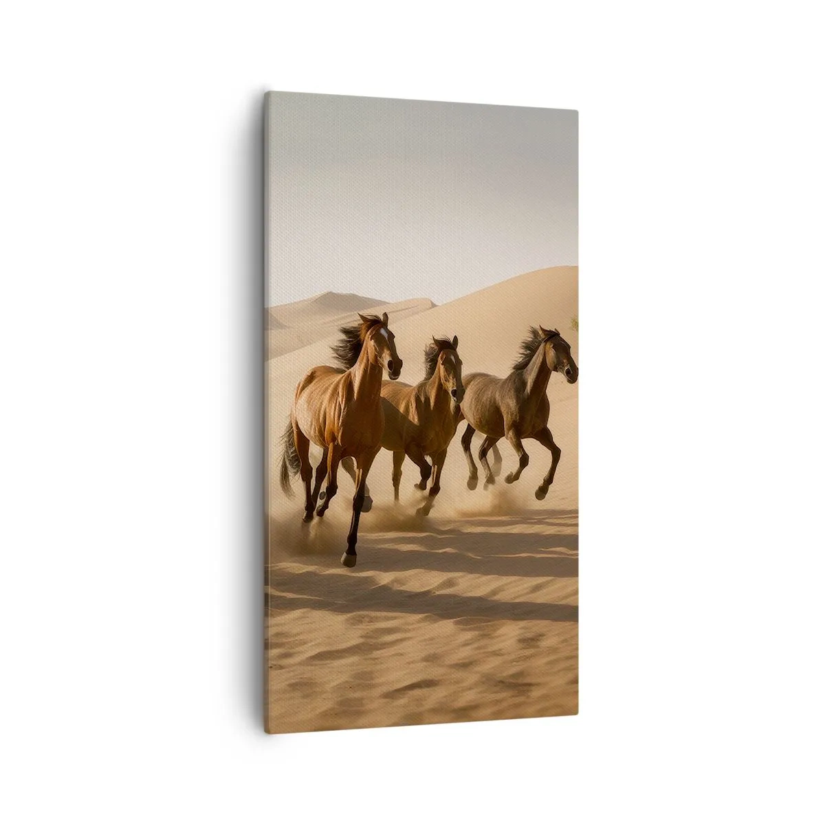 Impression sur toile - Image sur toile - Libre comme le vent - 55x100 cm