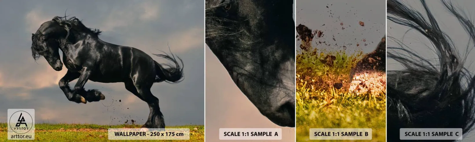 Échantillon de Papier Peint Autocollant Deluxe Sticker - Beau et libre - Animaux, Cheval, Paysage - 100x30 cm