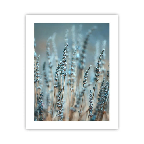 Affiche - Poster - Tige odorante - 40x50 cm