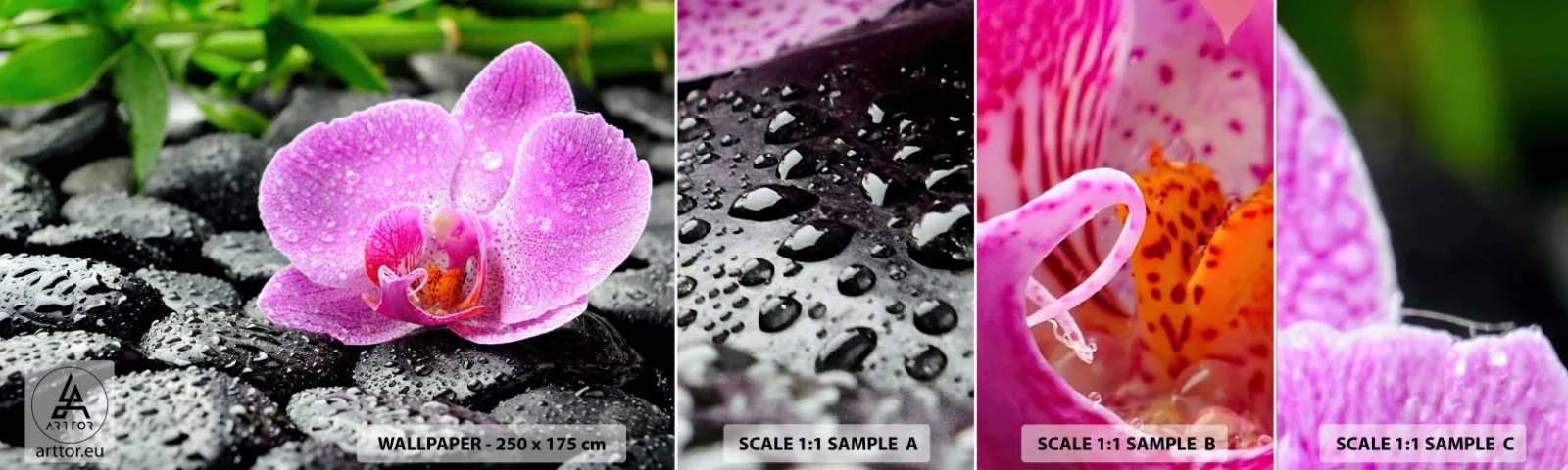 Échantillon De Papier Peint Standard Eco - Comme un coeur ouvert - Fleurs, Orchidée, Orchidée - 100x30 cm