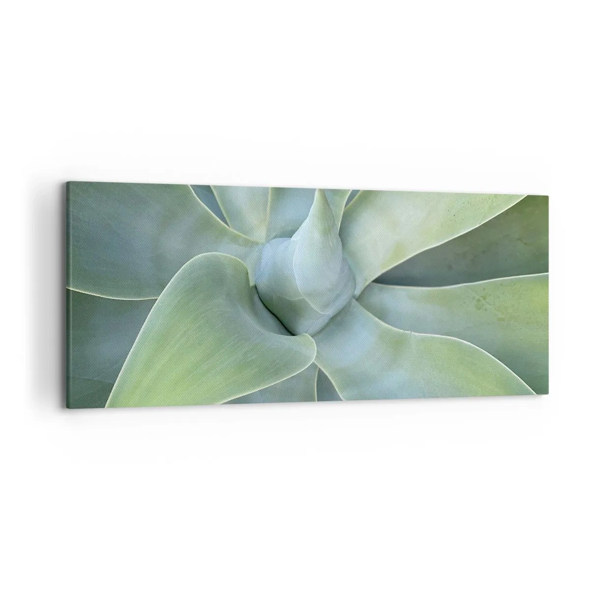Impression sur toile - Image sur toile - Feuilles d'agave subtiles dans des tons verts - 120x50cm - La naissance de la verdure - Décoration murale moderne pour le salon et la chambre ARTTOR
