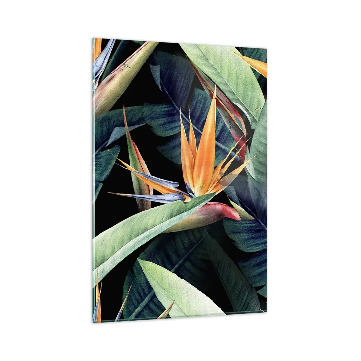 Impression sur verre - Image sur verre - Fleurs et feuilles tropicales sur fond noir - 80x120cm - Fleurs flamboyantes des tropiques - Décoration murale moderne pour le salon et la chambre ARTTOR