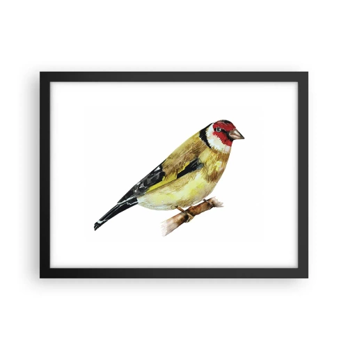 Affiche dans un cadre noir - Poster - Portrait d'oiseau - 40x30 cm