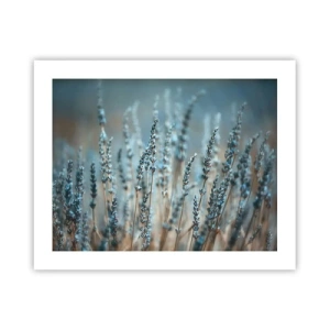 Affiche - Poster - Tige odorante - 50x40 cm