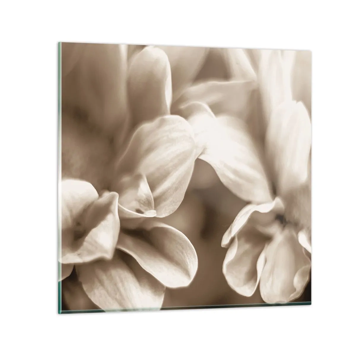 Impression sur verre - Image sur verre - Doux comme un sourire - 60x60 cm