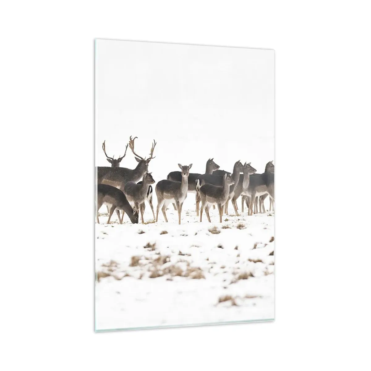 Impression sur verre - Image sur verre - Un troupeau de cerfs sur fond de neige - 80x120cm - Les fêtes approchent ? - Décoration murale moderne pour le salon et la chambre ARTTOR