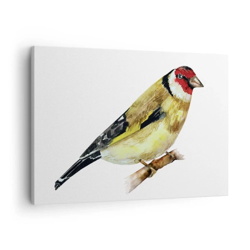 Impression sur toile - Image sur toile - Un oiseau à tête rouge sur une branche - 70x50cm - Portrait d'oiseau - Décoration murale moderne pour le salon et la chambre ARTTOR
