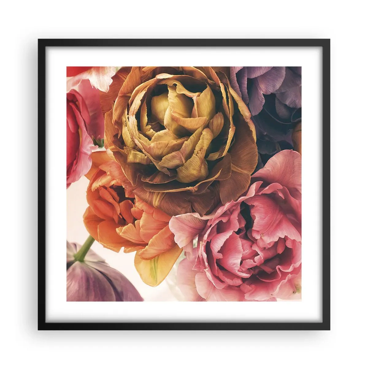 Affiche dans un cadre noir - Poster - La fête de la vie - 50x50 cm