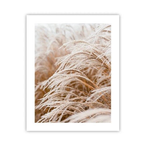 Affiche - Poster - Prosternez-vous devant le soleil d'automne - 40x50 cm