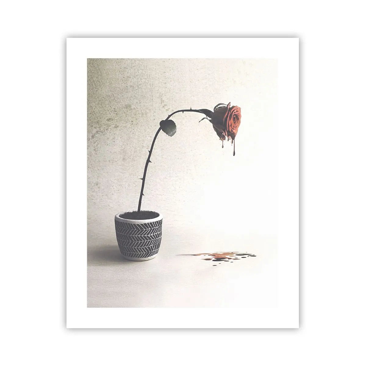 Affiche - Poster - Rosa dolorosa - 40x50 cm