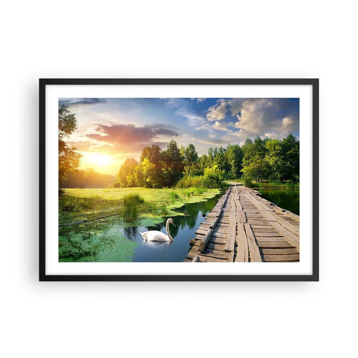Affiche dans un cadre noir - Poster - Un paysage pittoresque avec un pont et un cygne - 70x50cm - L'été, l'été partout - Décoration murale moderne pour le salon et la chambre ARTTOR