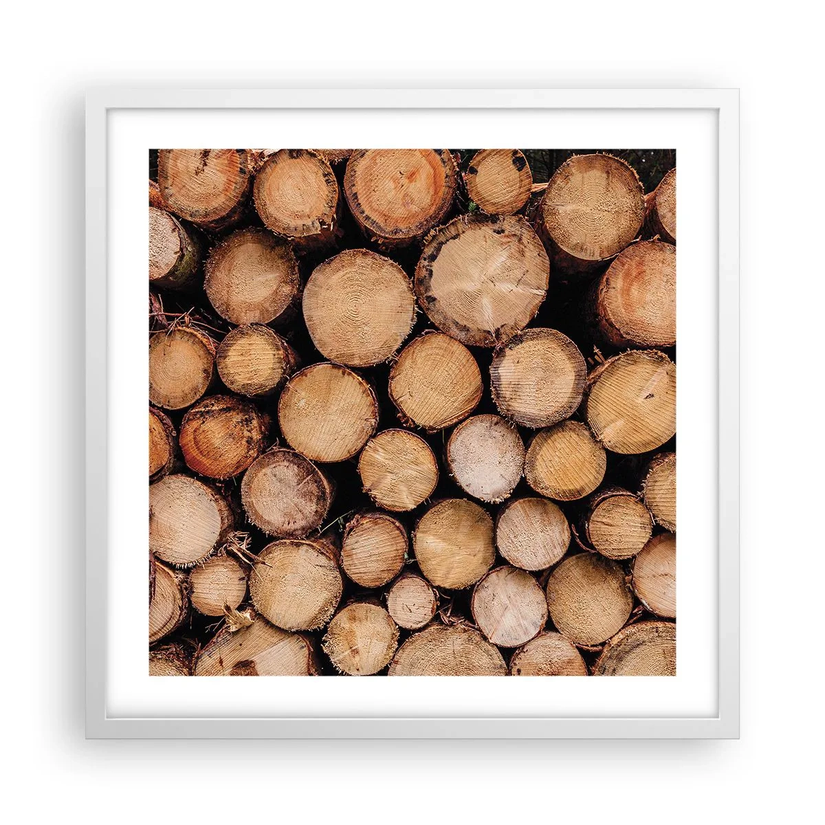 Affiche dans un cadre blanc - Poster - Nouveau commencement - 50x50 cm