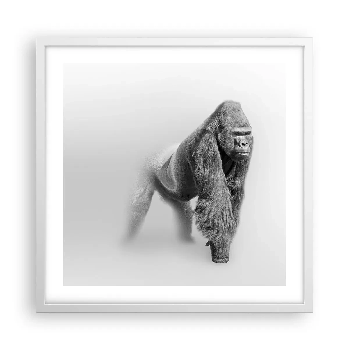 Affiche dans un cadre blanc - Poster - Confiant en sa force - 50x50 cm