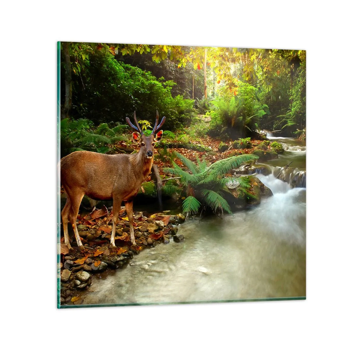 Impression sur verre - Image sur verre - Bienvenue dans mon monde - 60x60 cm