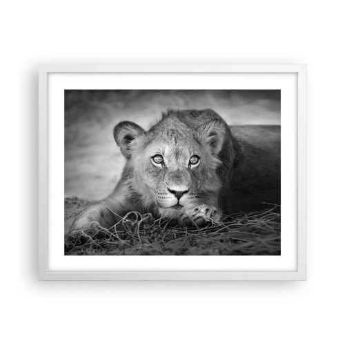 Affiche dans un cadre blanc - Poster - Chiot royal - 50x40 cm