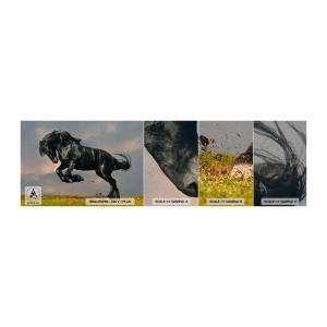 Échantillon de Papier Peint Premium Canvas - Beau et libre - Animaux, Cheval, Paysage - 100x30 cm