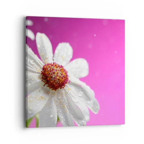 Impression sur toile - Image sur toile - Modeste dans sa beauté - 40x40 cm