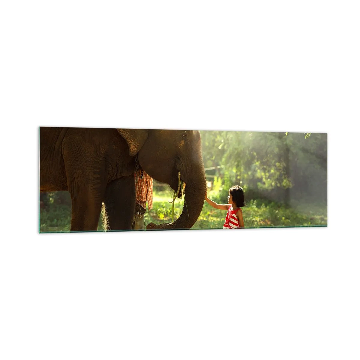 Impression sur verre - Image sur verre - Une fille en robe rouge touchant un éléphant dans la forêt. - 160x50cm - La force de l'amitié - Décoration murale moderne pour le salon et la chambre ARTTOR