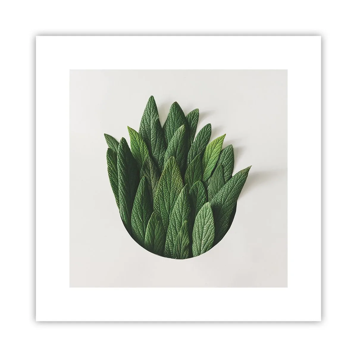 Affiche - Poster - Curiosité sans retenue - 30x30 cm