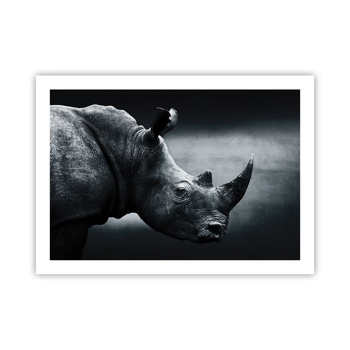 Affiche - Poster - Le profil droit - 70x50 cm