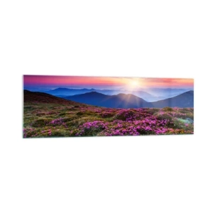 Impression sur verre - Image sur verre - Prairie de montagne avec des fleurs au coucher du soleil - 160x50cm - Les herbes sentaient les grappes fraîches de la récolte - Décoration murale moderne pour le salon et la chambre ARTTOR