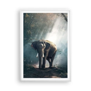 Affiche dans un cadre blanc - Poster - Une balade tranquille - 70x100 cm