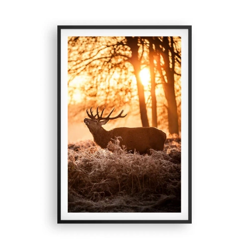 Affiche dans un cadre noir - Poster - Le rêve d'un chasseur - 61x91 cm