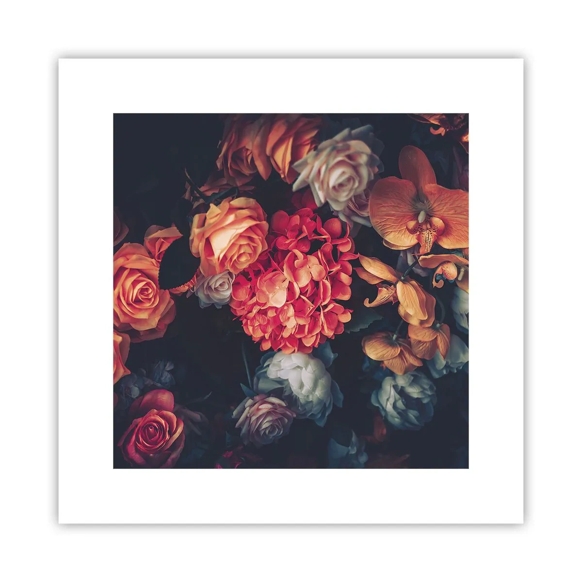 Affiche - Poster - Comme chez les maîtres hollandais - 30x30 cm