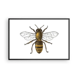 Affiche dans un cadre noir - Poster - Belle et bonne - 91x61 cm