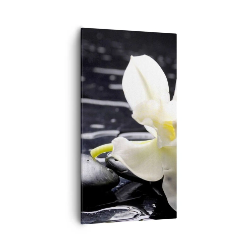 Impression sur toile - Image sur toile - Étude en noir et blanc - 55x100 cm