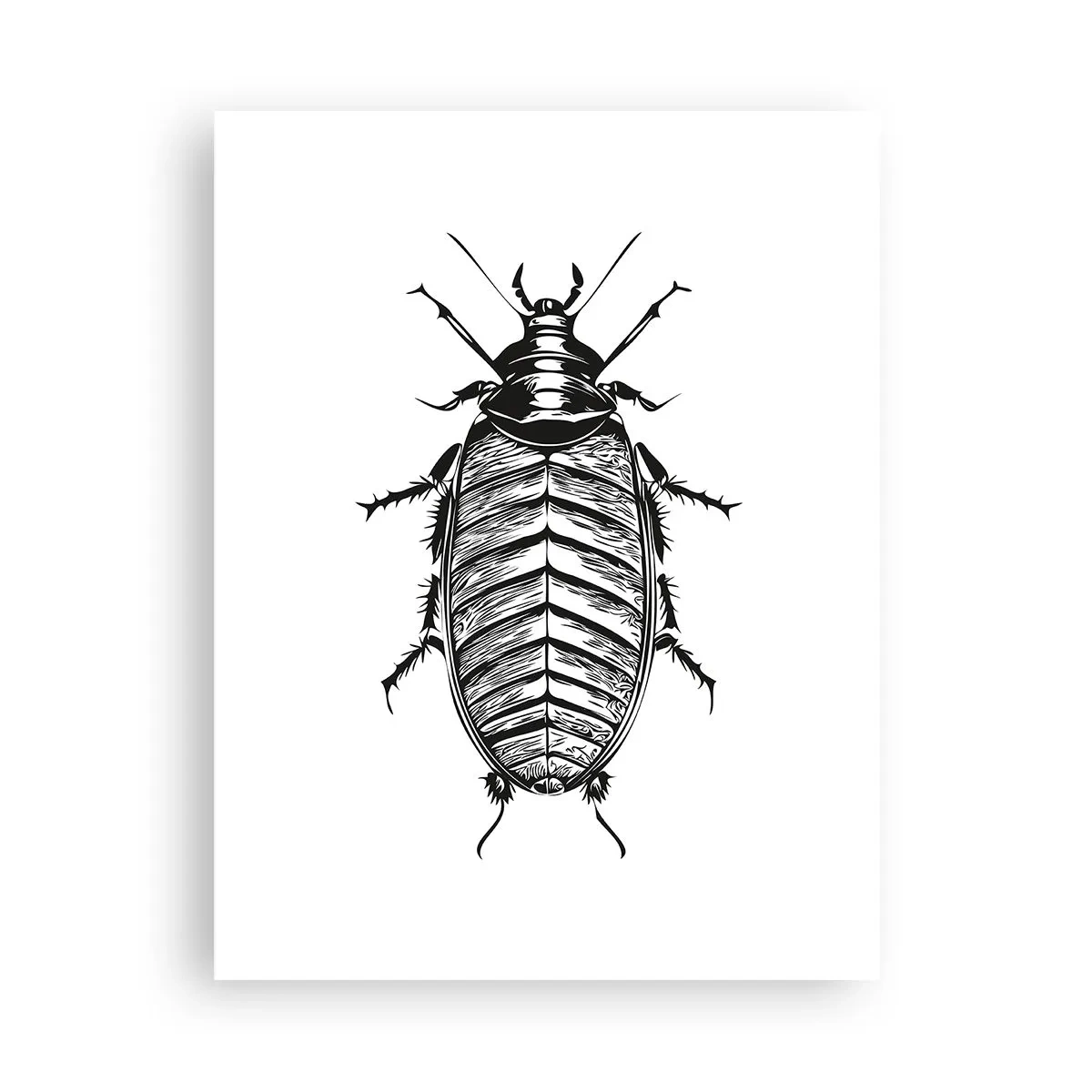 Affiche - Poster - Quel spécimen! - 30x40 cm