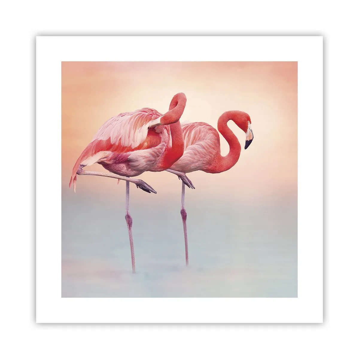 Affiche - Poster - Dans les couleurs du soleil couchant - 40x40 cm