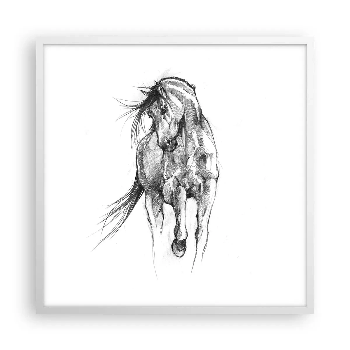 Affiche dans un cadre blanc - Poster - D'un trot gracieux - 60x60 cm