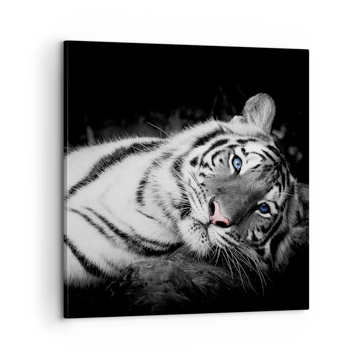 Impression sur toile - Image sur toile - Sauvagerie et paix - 60x60 cm