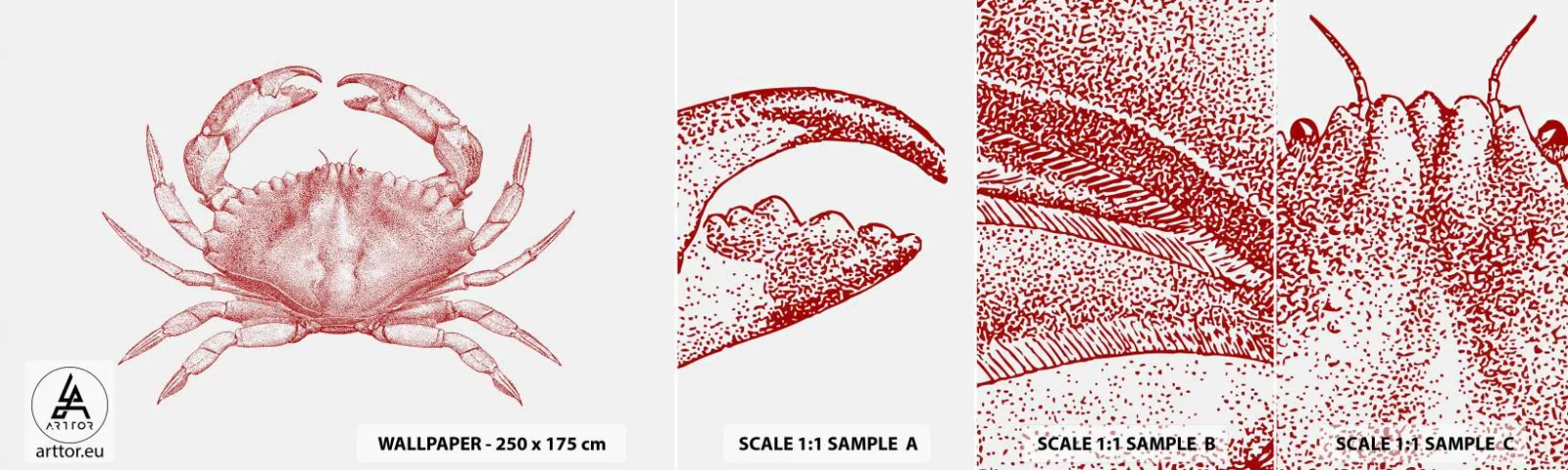 Échantillon De Papier Peint Standard Eco - Le crabe des crabes - Crabe, Fruit de mer, Fruits de mer - 100x30 cm