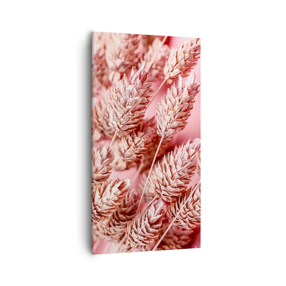 Impression sur toile - Image sur toile - Une cascade florale en rose - 55x100 cm