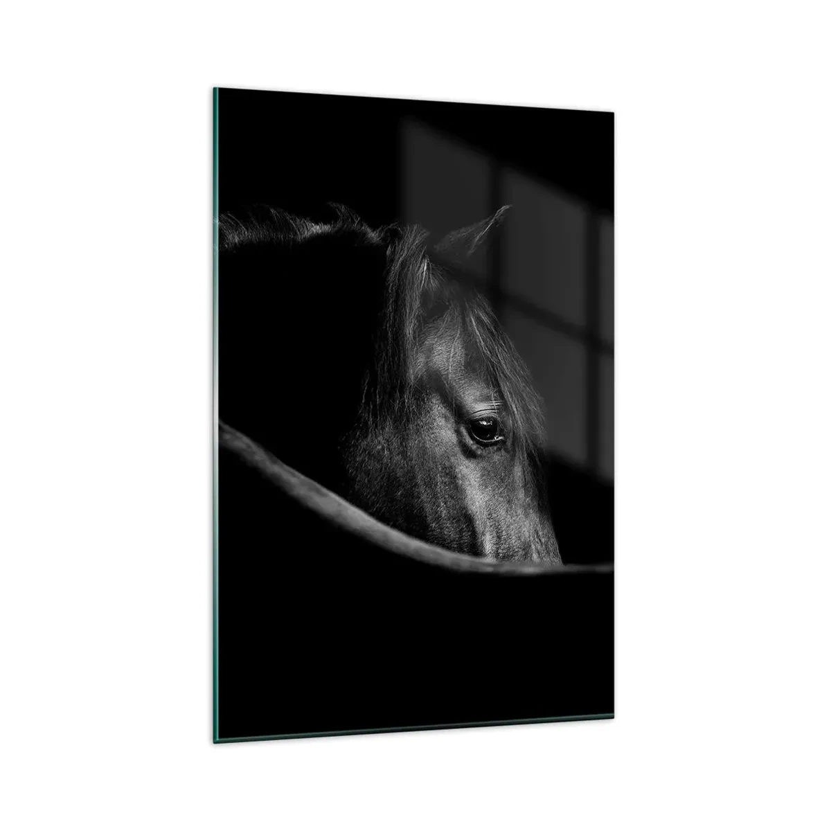Impression sur verre - Image sur verre - Portrait en noir et blanc d'un cheval avec un jeu subtil de lumière et d'ombre sur un fond sombre. - 80x120cm - Prince Noir - Décoration murale moderne pour le salon et la chambre ARTTOR