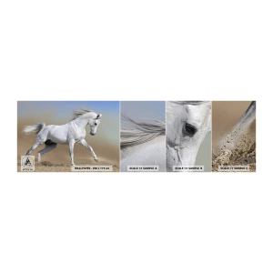 Échantillon De Papier Peint Standard Eco - Le plus beau conte de fées arabe - Cheval, Animaux, Galop - 100x30 cm