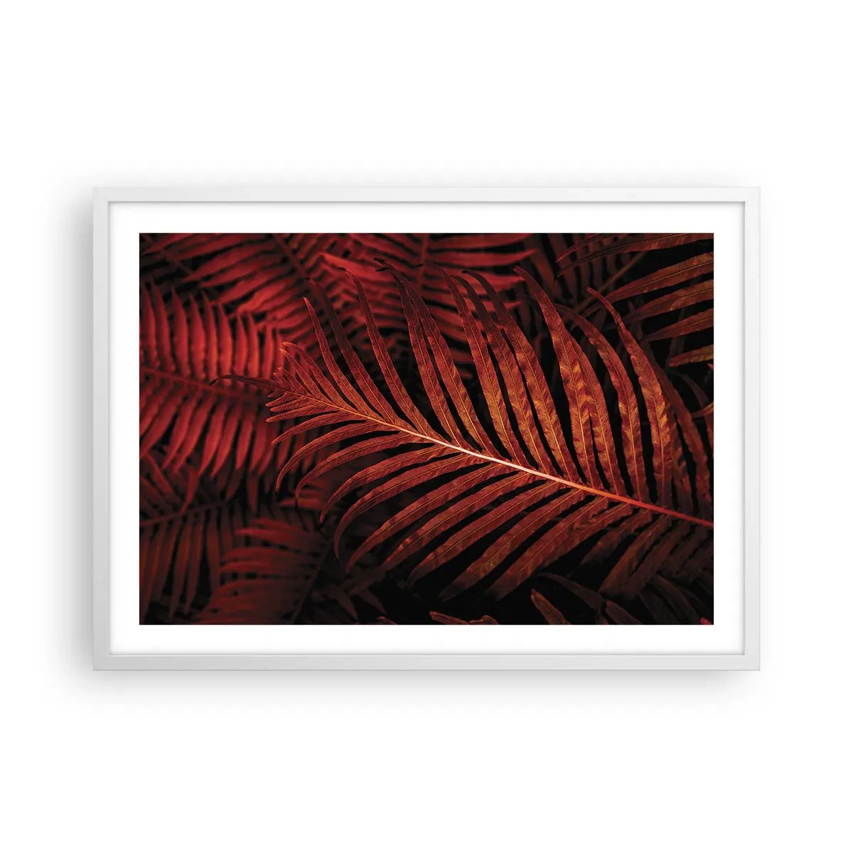 Affiche dans un cadre blanc - Poster - Chaleur de la vie - 70x50 cm