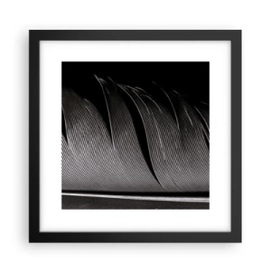 Affiche dans un cadre noir - Poster - La plume – un design magnifique - 30x30 cm
