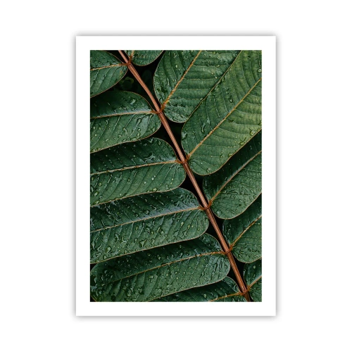 Affiche - Poster - Feuilles avec des gouttes d'eau créant une composition harmonieuse - 50x70cm - Au rythme de la verdure - Décoration murale moderne pour le salon et la chambre ARTTOR