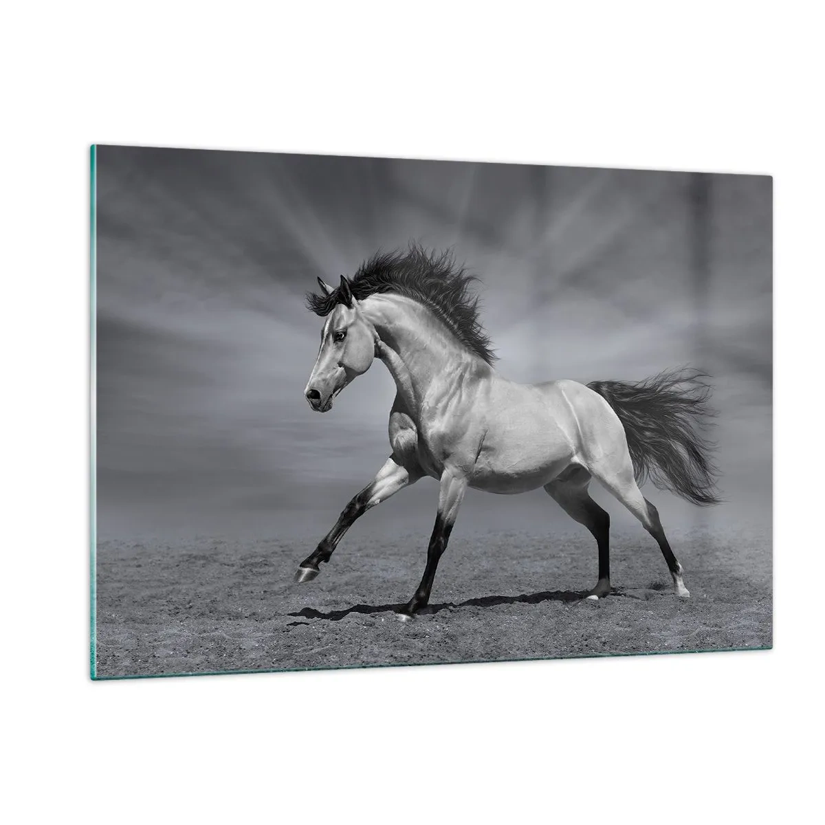 Impression sur verre - Image sur verre - Une photo en noir et blanc d'un cheval galopant dans un champ ouvert. - 120x80cm - Né pour séduire - Décoration murale moderne pour le salon et la chambre ARTTOR