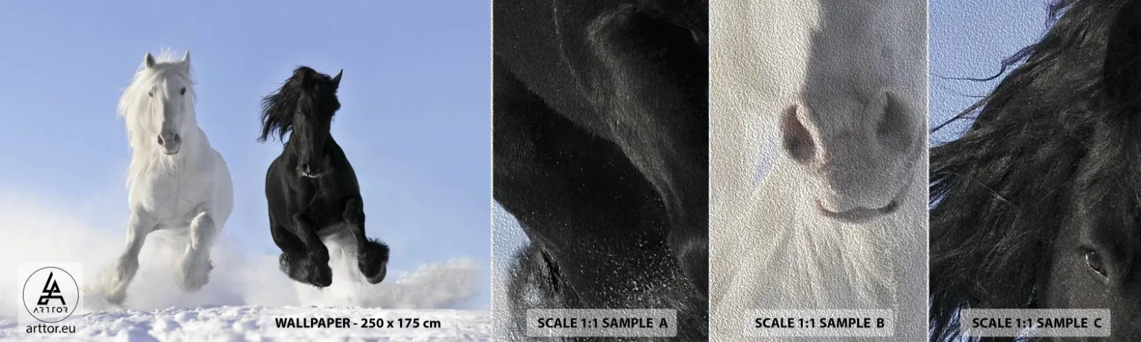 Échantillon de Papier Peint Premium Sand - Galop noir et blanc - Animaux, Cheval, Hiver - 100x30 cm