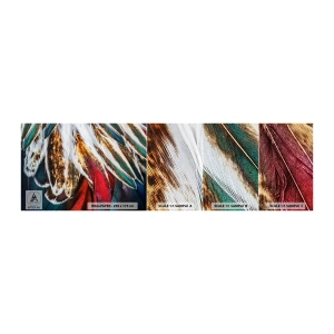 Échantillon De Papier Peint Standard Eco - Secrets de vol - Abstraction, Morceau, Bohème - 100x30 cm