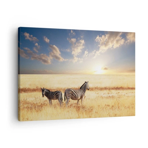 Impression sur toile - Image sur toile - Deux zèbres dans la savane sous les rayons du soleil couchant - 70x50cm - Va-t'en, n'ai pas de paix - Décoration murale moderne pour le salon et la chambre ARTTOR